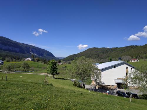 Les Chamois De La Combe En Haut