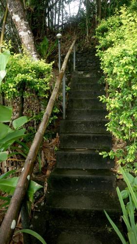 Villa Serena