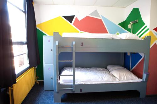 The Flying Pig Downtown Youth Hostel