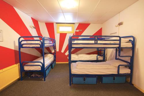 The Flying Pig Downtown Youth Hostel