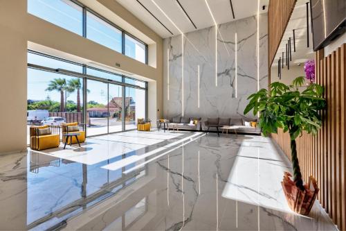 White Olive Elite Laganas