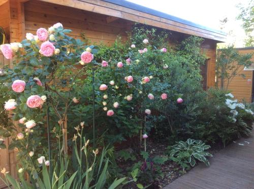 Les Chambres D'oriane