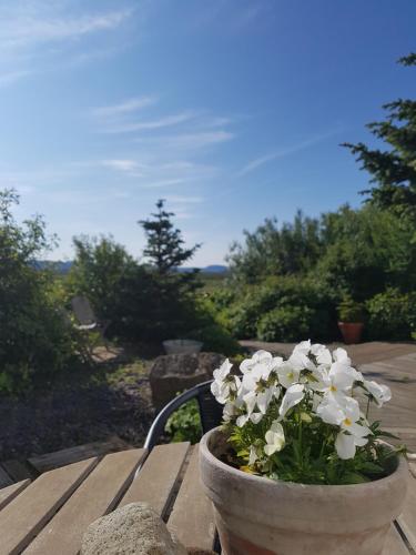 Granastaðir Guesthouse