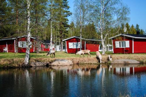 Motelli Rovaniemi