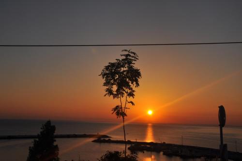 Damla Panaroma Hotel