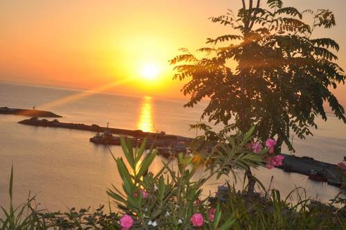 Damla Panaroma Hotel