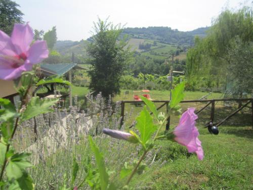 Agriturismo Le Spighe Fattoria Bertaccini