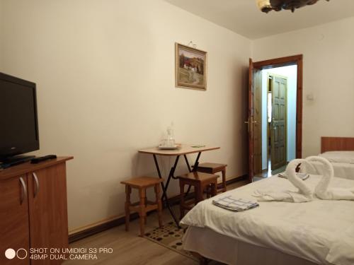 Casa Rodica str. Clabucetului 28