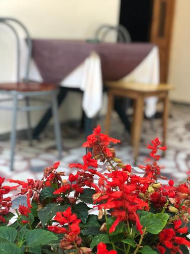 Apartmani Plima