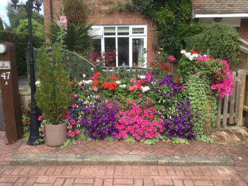 Albertine Bed And Breakfast