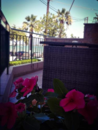 Lerna Rooms
