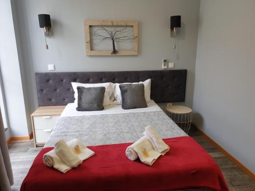 Hostel Pensão Leão De Ouro