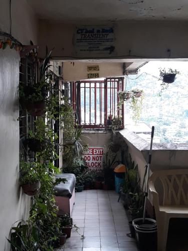 CVNB Bed & Bath Hostel