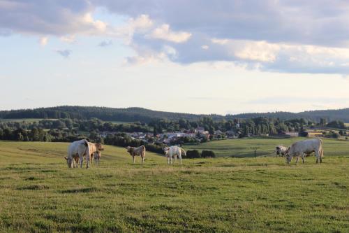 Ctyri Pokoje