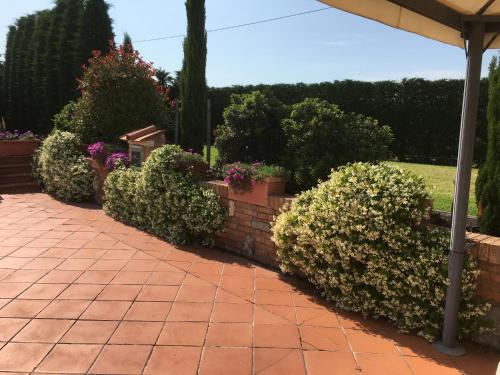 Agriturismo Le Rondinelle