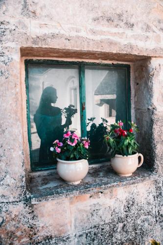 Casale Dei Pini - Nature Room