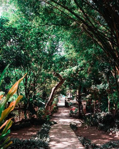 Oasis Balili Heritage Lodge
