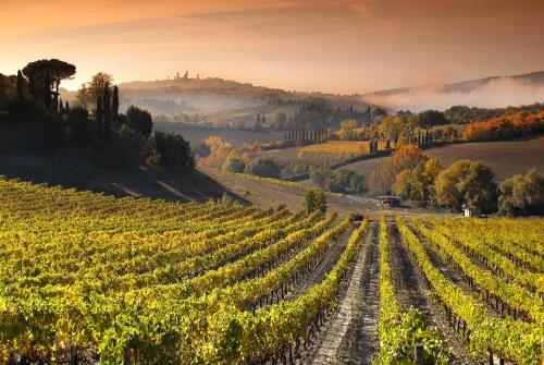 Agriturismo La Mormoraia