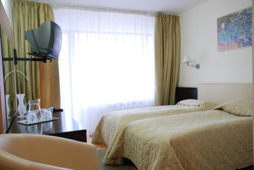 Hotel Sinaia