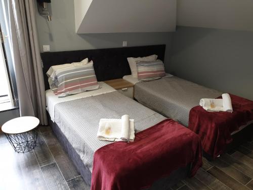 Hostel Pensão Leão De Ouro