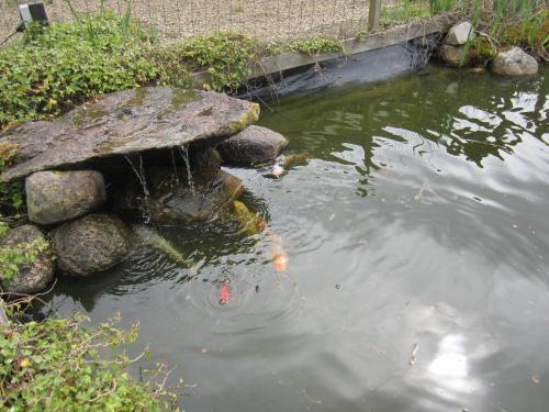 B&B Kleintje Eleveld