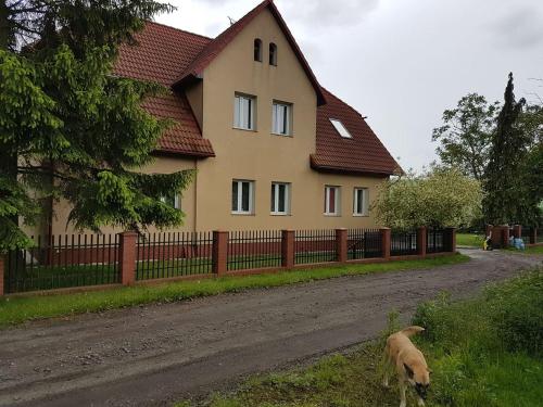 Pokoje Łagodzińska