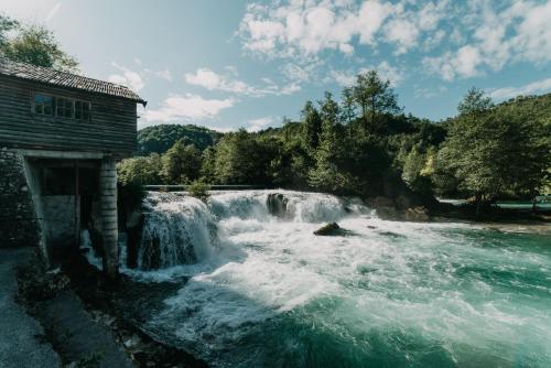 Kostelski Buk