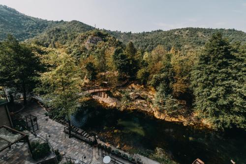 Kostelski Buk