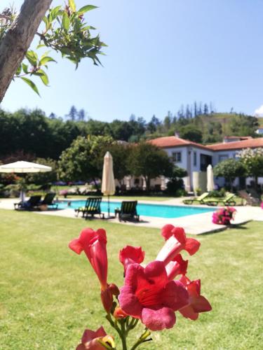 The River House - Termas Guesthouse