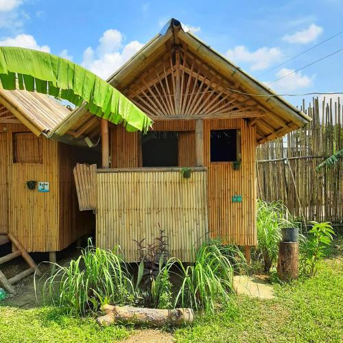 Banana Grove Backpackers Inn