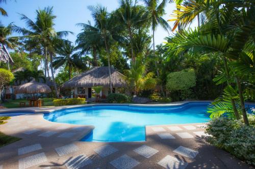 Pura Vida Beach & Dive Resort