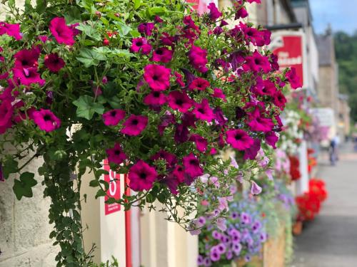 Highland House Hotel