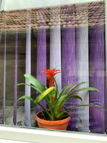 Pensiunea Casa Maria