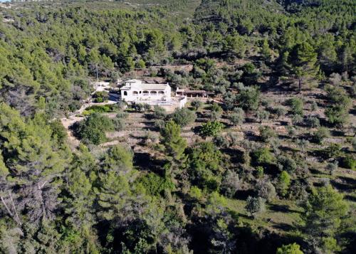 Villa Foia Vella