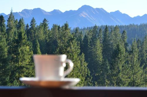 Jedla Miejsce Goscinne