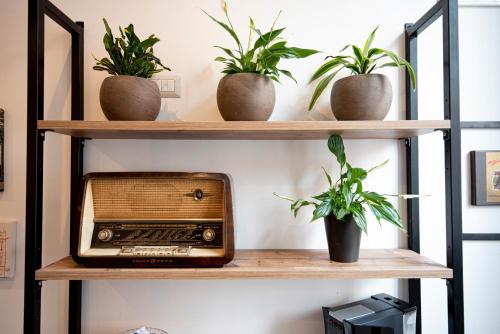 B&B Balbis Choco House