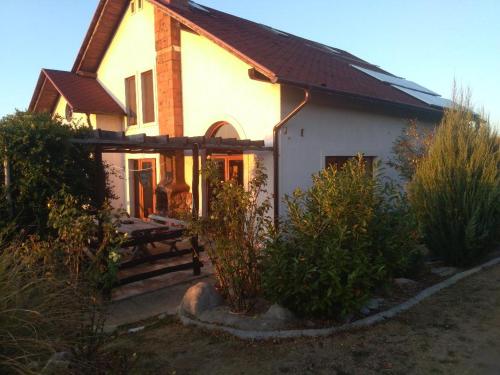Vis Pension