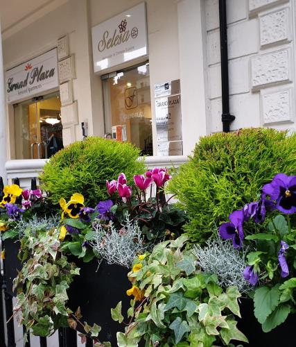 Grand Plaza Serviced Apartments Hyde Park