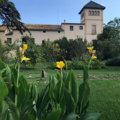 Mas La Riera Bed & Breakfast