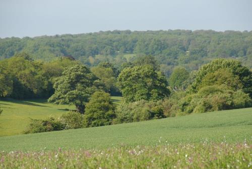 Banbury Hill Farm