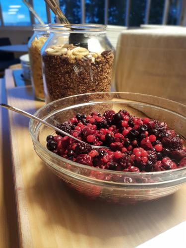 Nordiska Folkhögskolan Konferens B&B