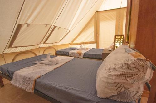 The Acacia Glamping Park