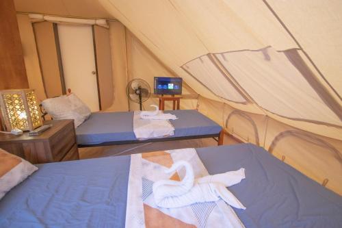 The Acacia Glamping Park
