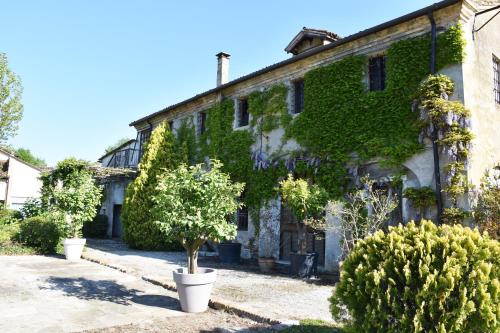 VeniceGreen Agriresort