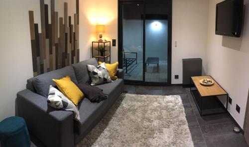 Gite Le Petit Malsbach Eguisheim 3 étoiles