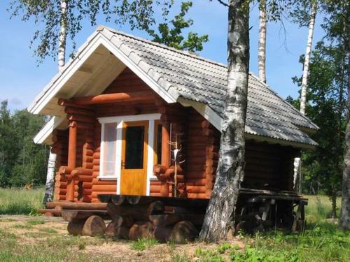 Kauksi