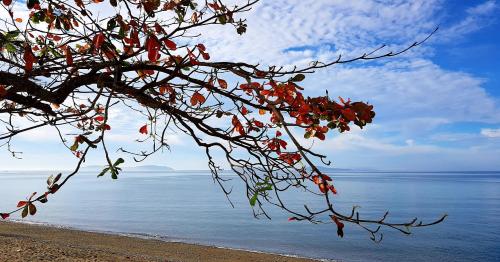 Luxor Resort And Restaurant