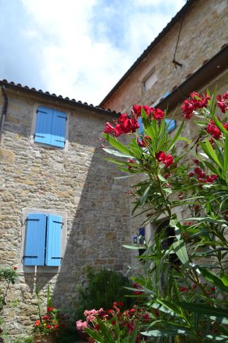 Villa San Vito - Tilia, Olea, Rosmarinus