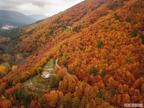 Solar Da Castanha-Forest House