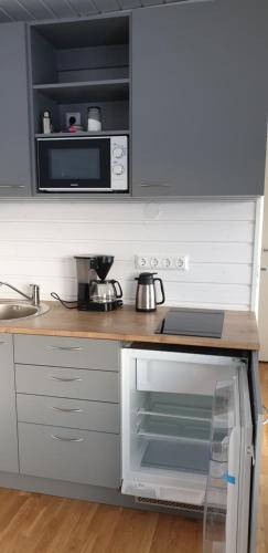 Hotel Studlagil Canyon